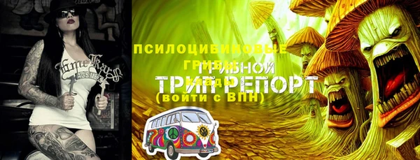 скорость Алексеевка